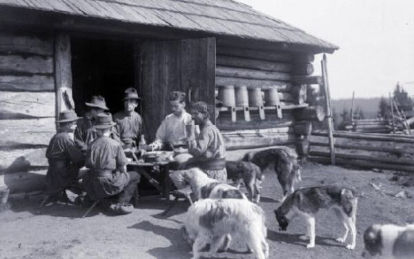 Ce preparau din lapte românii anului 1900